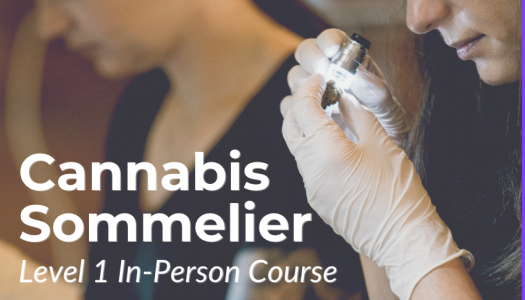 Cannabis Sommelier Level 1 In-Person Course